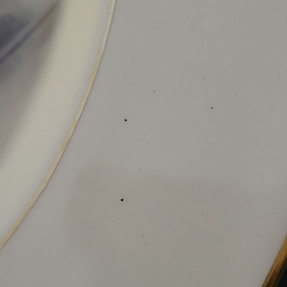 United States of America Bicentennial Plate 1776-1976, 1673-1976 - Picture 5 of 5